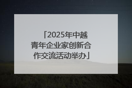 2025年中越青年企业家创新合作交流活动举办