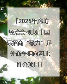 2025年廊坊经洽会·现场丨国际招商“磁力”足 外商争相向河北推介项目
