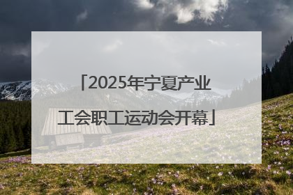 2025年宁夏产业工会职工运动会开幕