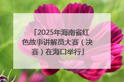 2025年海南省红色故事讲解员大赛（决赛）在海口举行