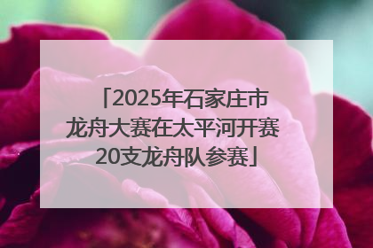 2025年石家庄市龙舟大赛在太平河开赛 20支龙舟队参赛