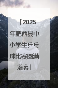 2025年肥西县中小学生乒乓球比赛圆满落幕
