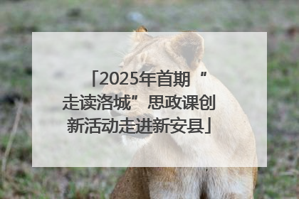 2025年首期“走读洛城”思政课创新活动走进新安县