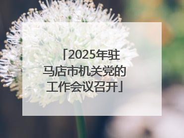 2025年驻马店市机关党的工作会议召开