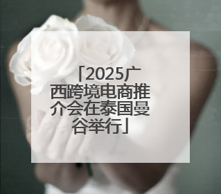 2025广西跨境电商推介会在泰国曼谷举行