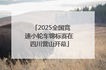 2025全国竞速小轮车锦标赛在四川营山开幕