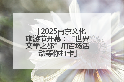 2025南京文化旅游节开幕：“世界文学之都”用百场活动等你打卡