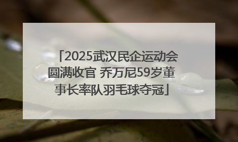 2025武汉民企运动会圆满收官 乔万尼59岁董事长率队羽毛球夺冠