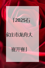 2025石家庄市龙舟大赛开赛