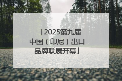 2025第九届中国（印尼）出口品牌联展开幕