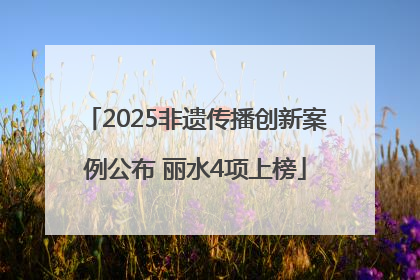 2025非遗传播创新案例公布 丽水4项上榜