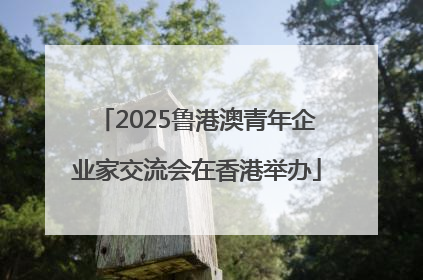 2025鲁港澳青年企业家交流会在香港举办