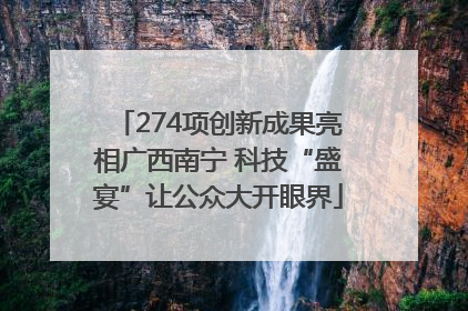 274项创新成果亮相广西南宁 科技“盛宴”让公众大开眼界