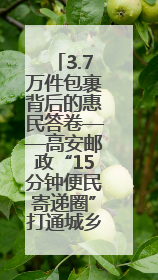 3.7万件包裹背后的惠民答卷——高安邮政“15分钟便民寄递圈”打通城乡服务末梢