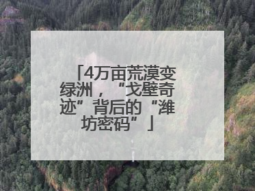 4万亩荒漠变绿洲，“戈壁奇迹”背后的“潍坊密码”