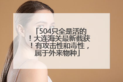504只全是活的！大连海关最新截获！有攻击性和毒性，属于外来物种