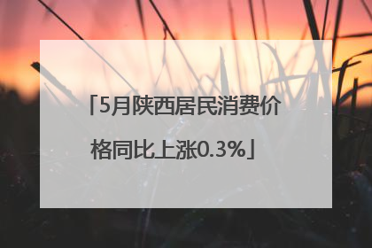 5月陕西居民消费价格同比上涨0.3%