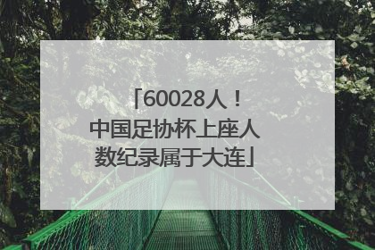 60028人！中国足协杯上座人数纪录属于大连