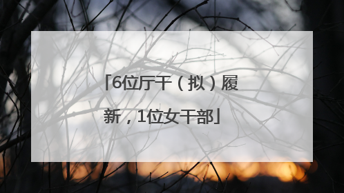 6位厅干（拟）履新，1位女干部
