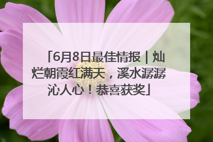 6月8日最佳情报｜灿烂朝霞红满天，溪水潺潺沁人心！恭喜获奖