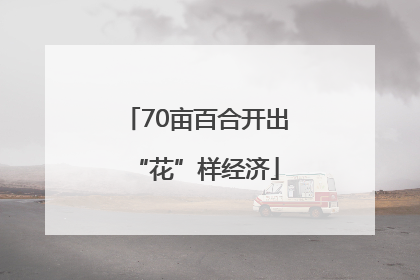70亩百合开出“花”样经济