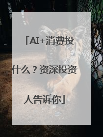 AI+消费投什么？资深投资人告诉你