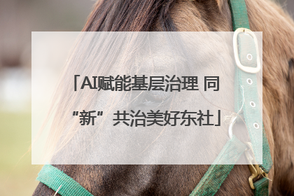 AI赋能基层治理 同“新”共治美好东社