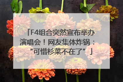 F4组合突然宣布举办演唱会！网友集体炸锅：“可惜杉菜不在了”