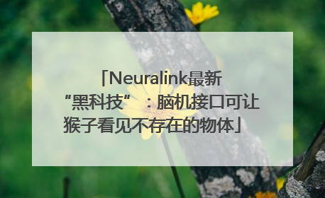 Neuralink最新“黑科技”：脑机接口可让猴子看见不存在的物体