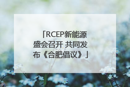 RCEP新能源盛会召开 共同发布《合肥倡议》